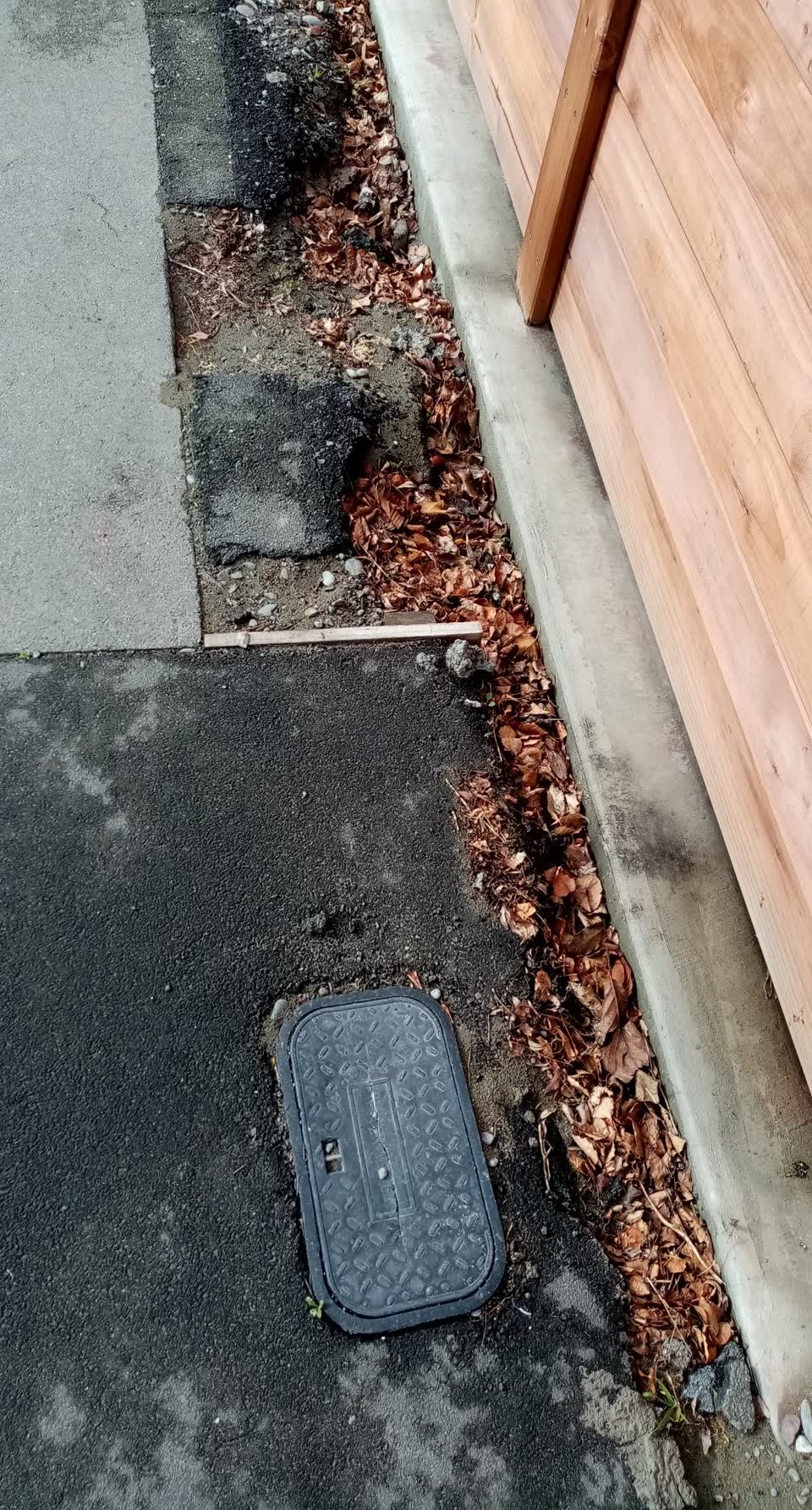 The photograph attached to this roading/streets report