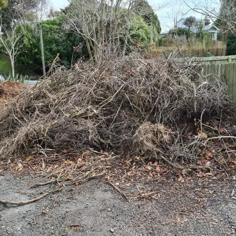 Rubbish/Recycling — a report photo