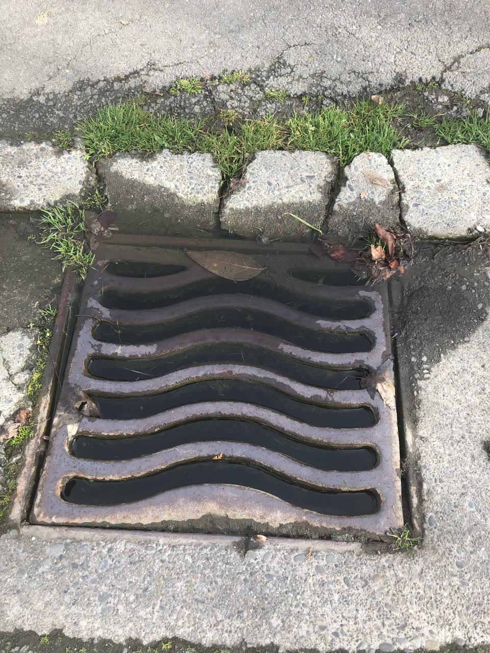 The photograph attached to this wastewater/stormwater report