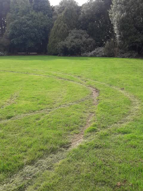 Parks, a report photo