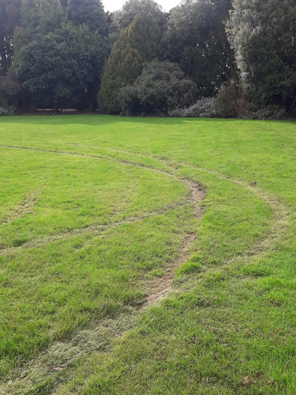 The photograph attached to this parks report