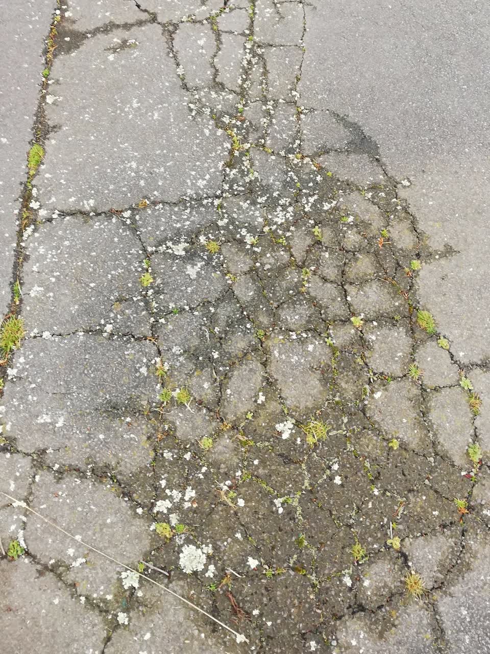 The photograph attached to this water supply report