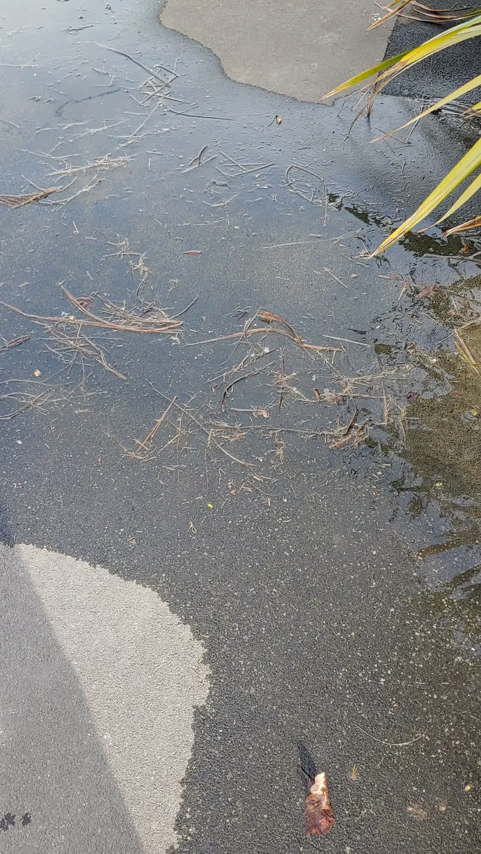 The photograph attached to this flooding report