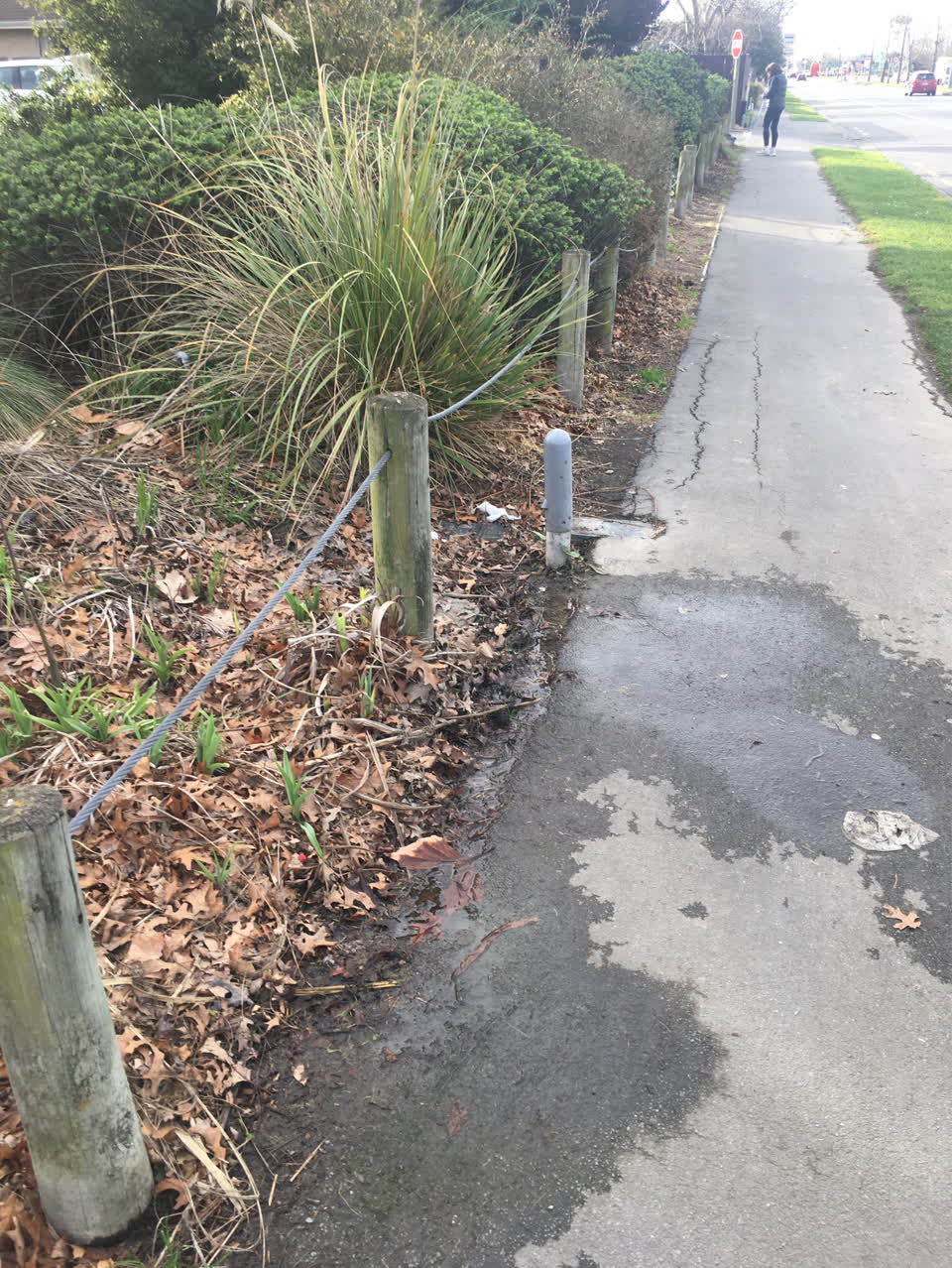 The photograph attached to this water supply report