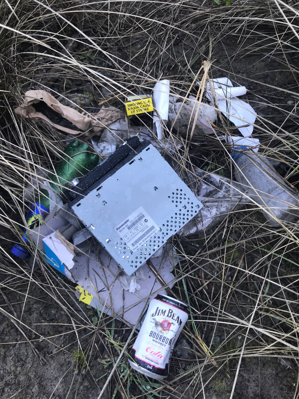 The photograph attached to this parks report