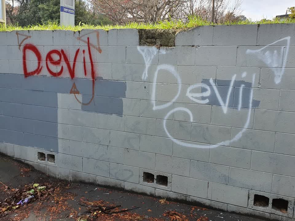 The photograph attached to this graffiti report