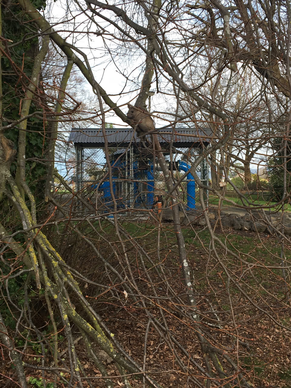 The photograph attached to this parks report
