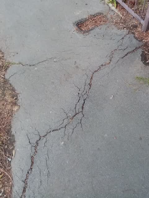 Roading/Streets, a report photo