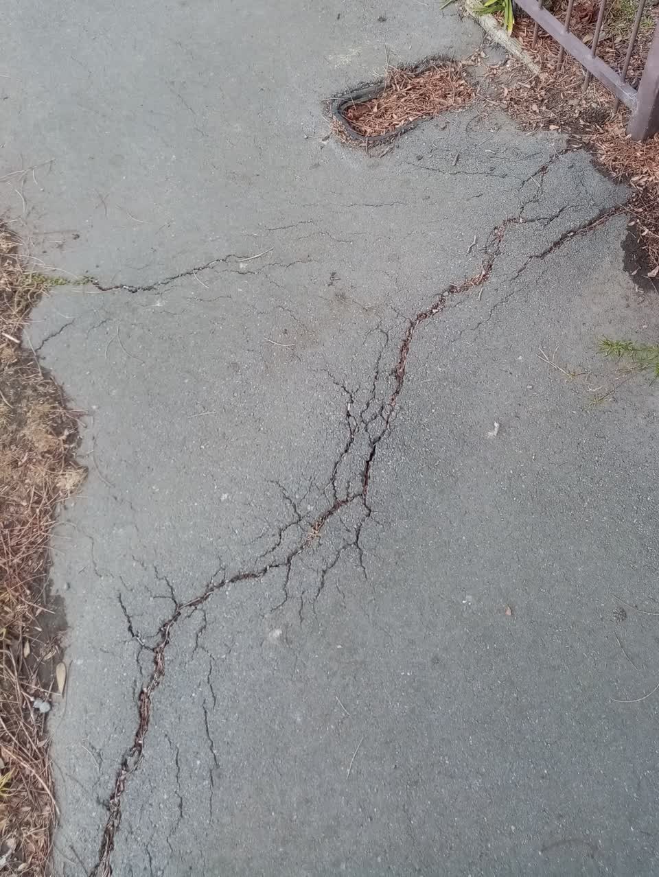 The photograph attached to this roading/streets report
