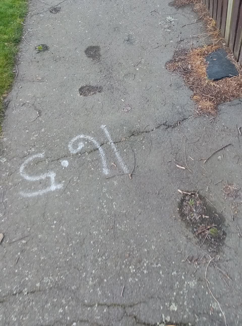 The photograph attached to this roading/streets report