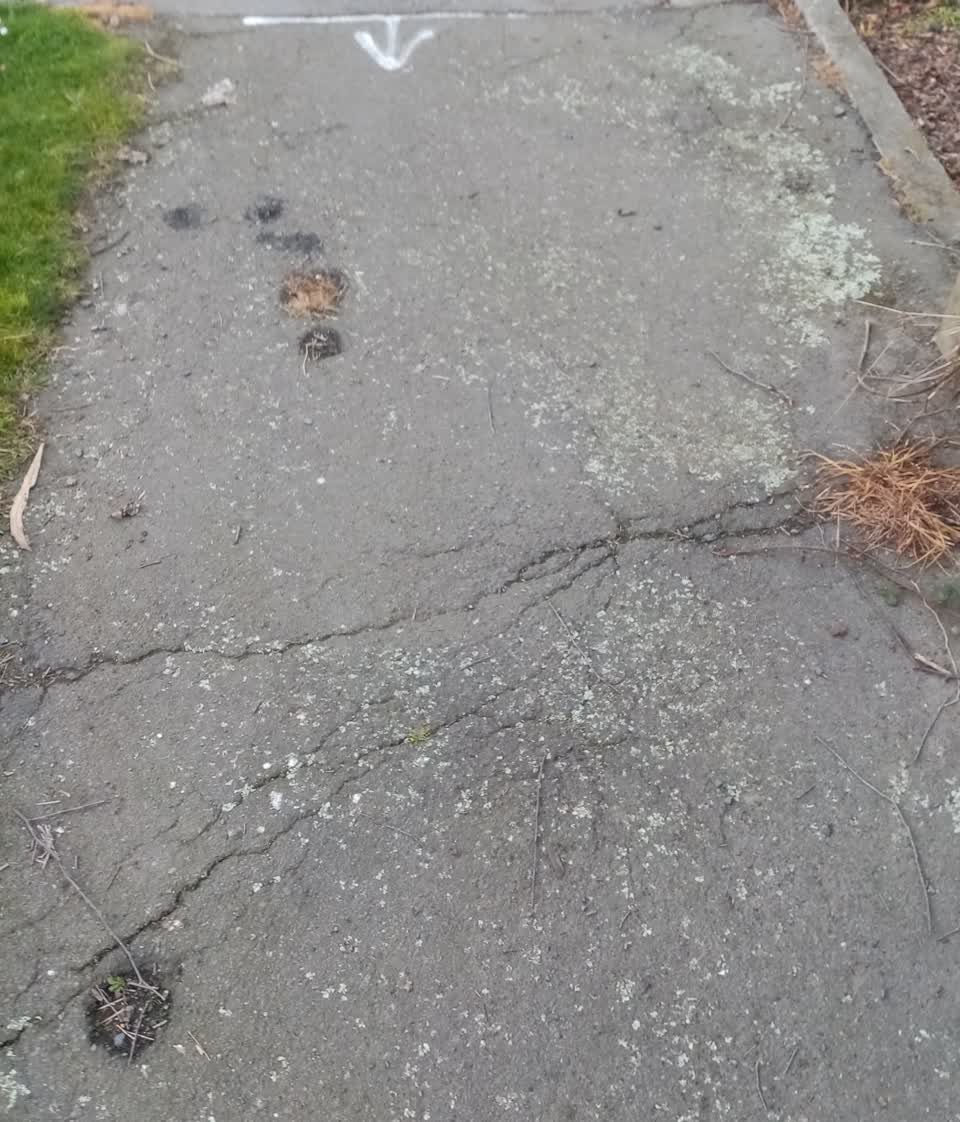 The photograph attached to this roading/streets report