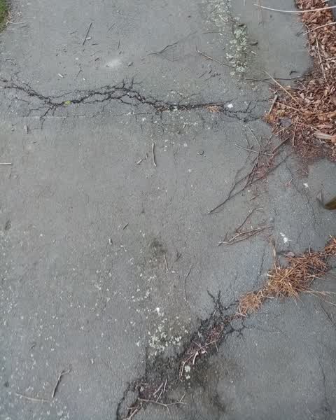 Roading/Streets, a report photo
