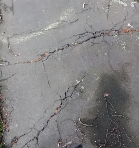 Roading/Streets, a report photo
