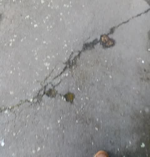 Roading/Streets, a report photo