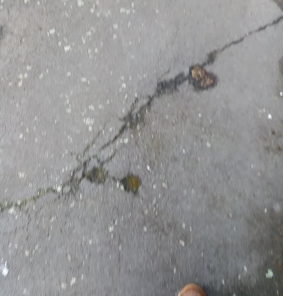 The photograph attached to this roading/streets report