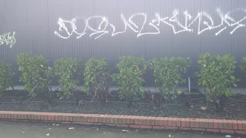 Graffiti — a report photo