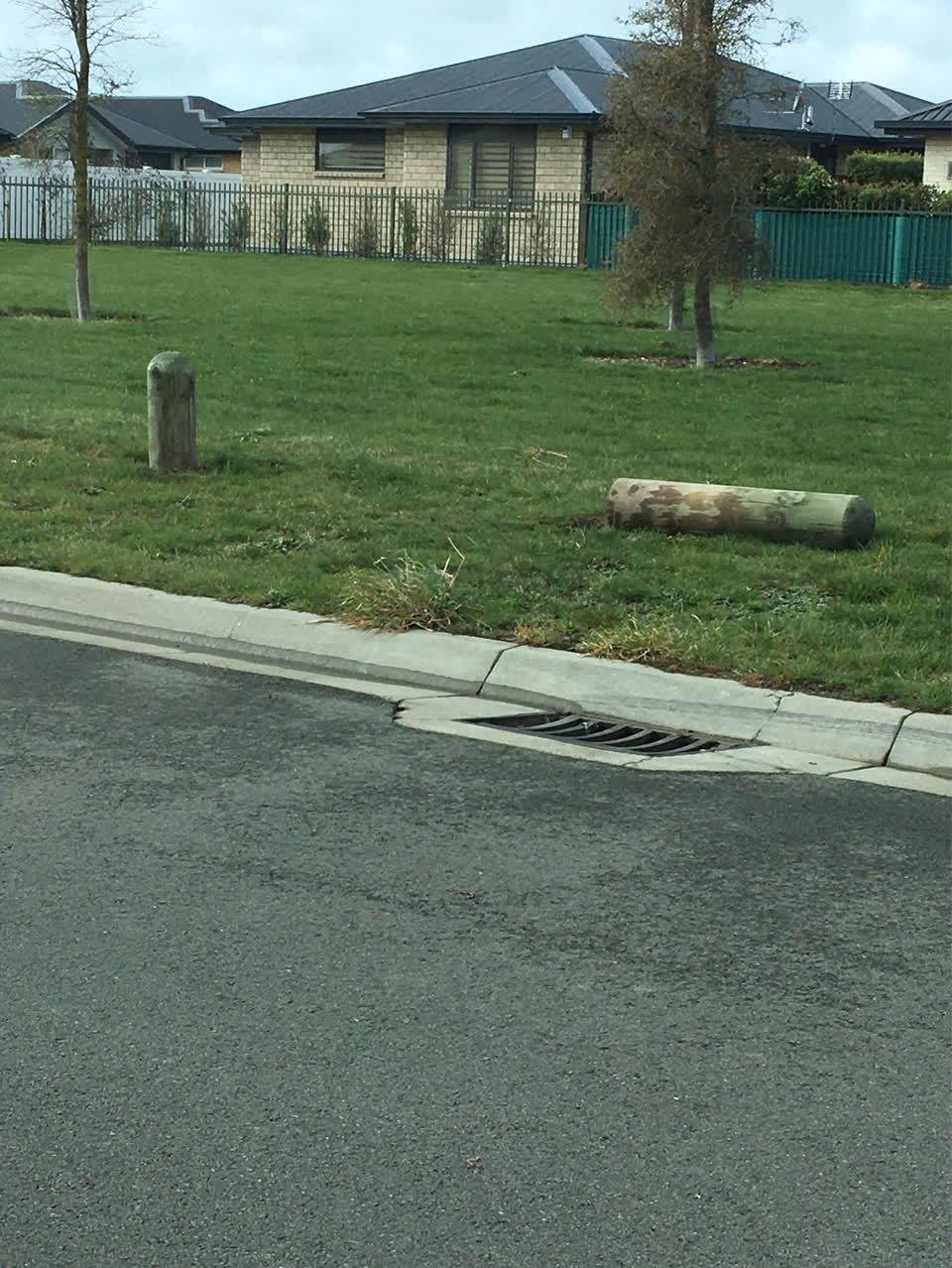 The photograph attached to this parks report