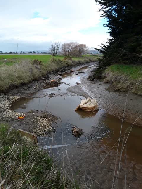 Rubbish/Recycling — a report photo