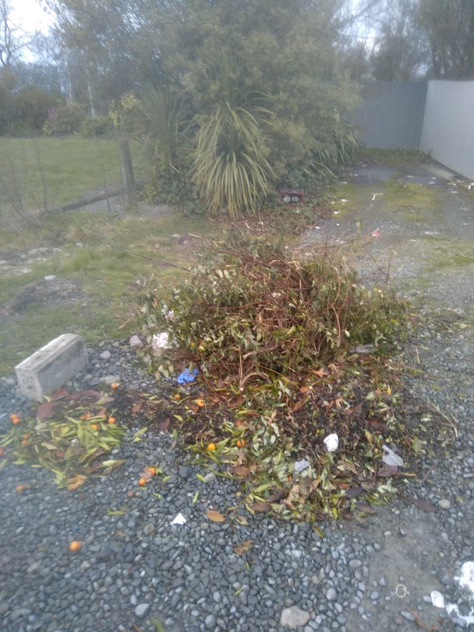 The photograph attached to this rubbish/recycling report