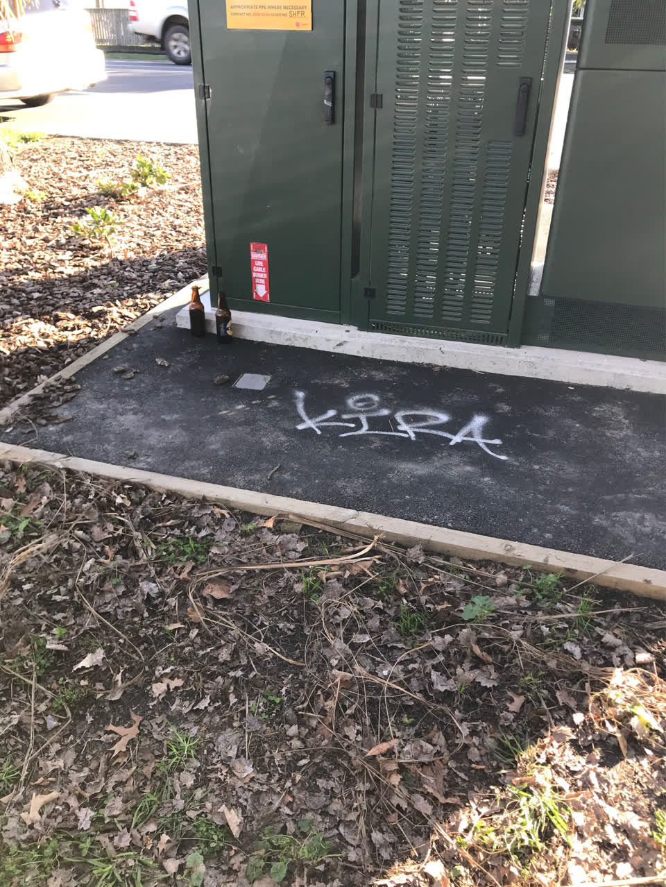 The photograph attached to this graffiti report