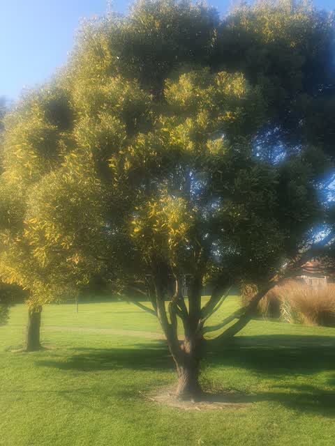 Parks, a report photo