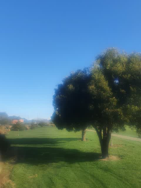 Parks, a report photo