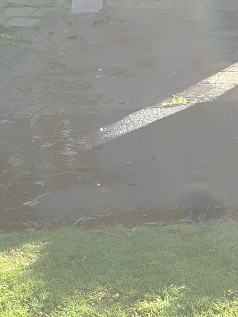 Wastewater/Stormwater, a report photo