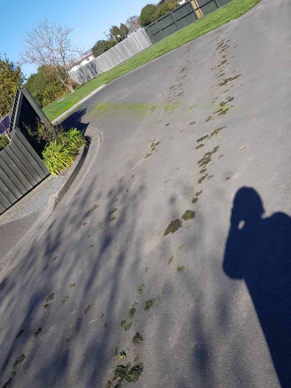 The photograph attached to this parks report