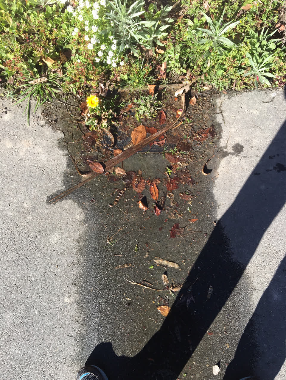 The photograph attached to this water supply report