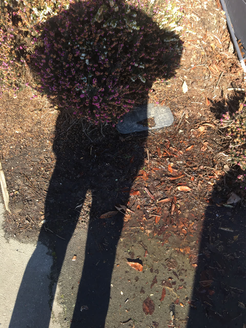 The photograph attached to this water supply report