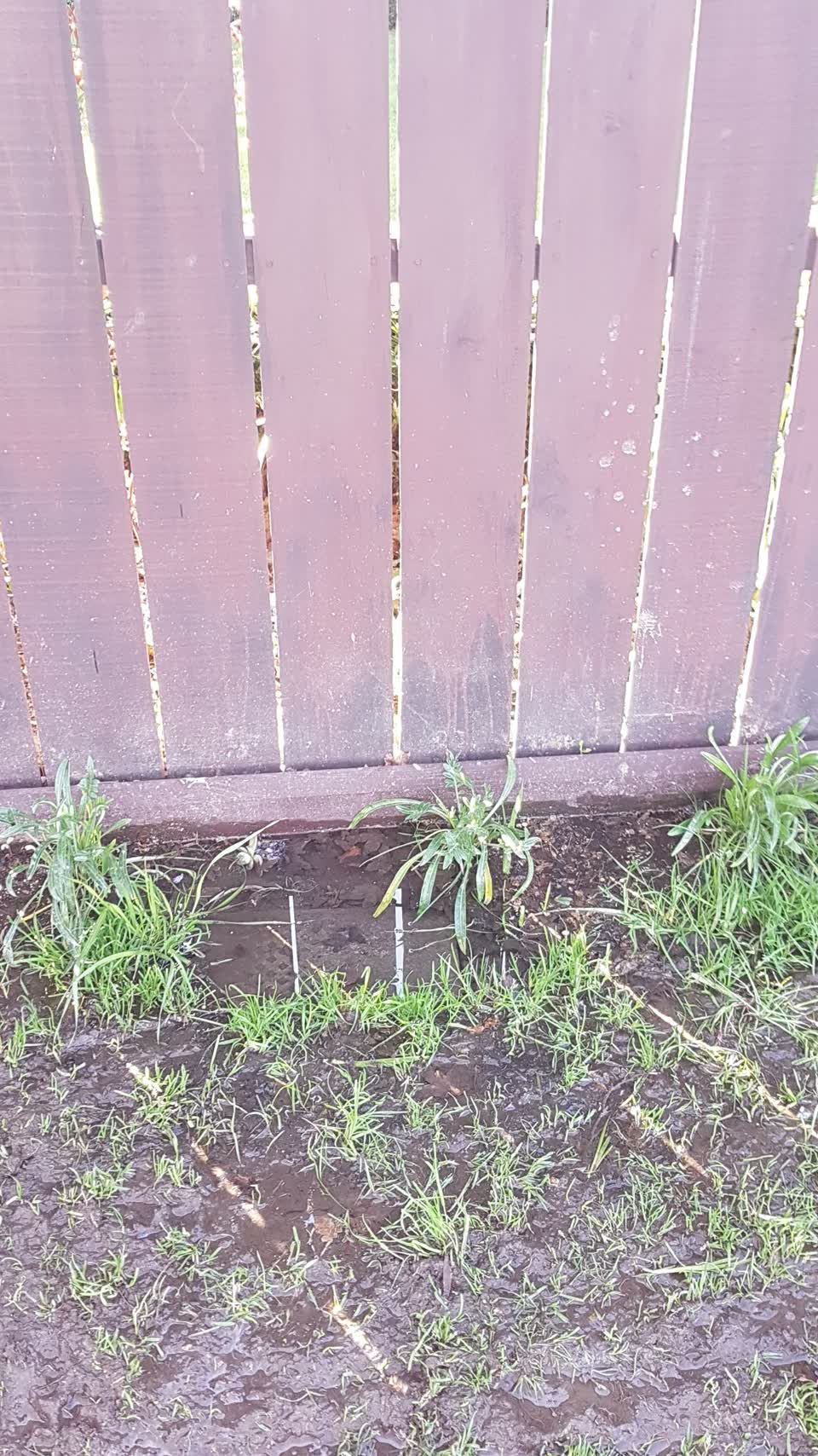 The photograph attached to this water supply report