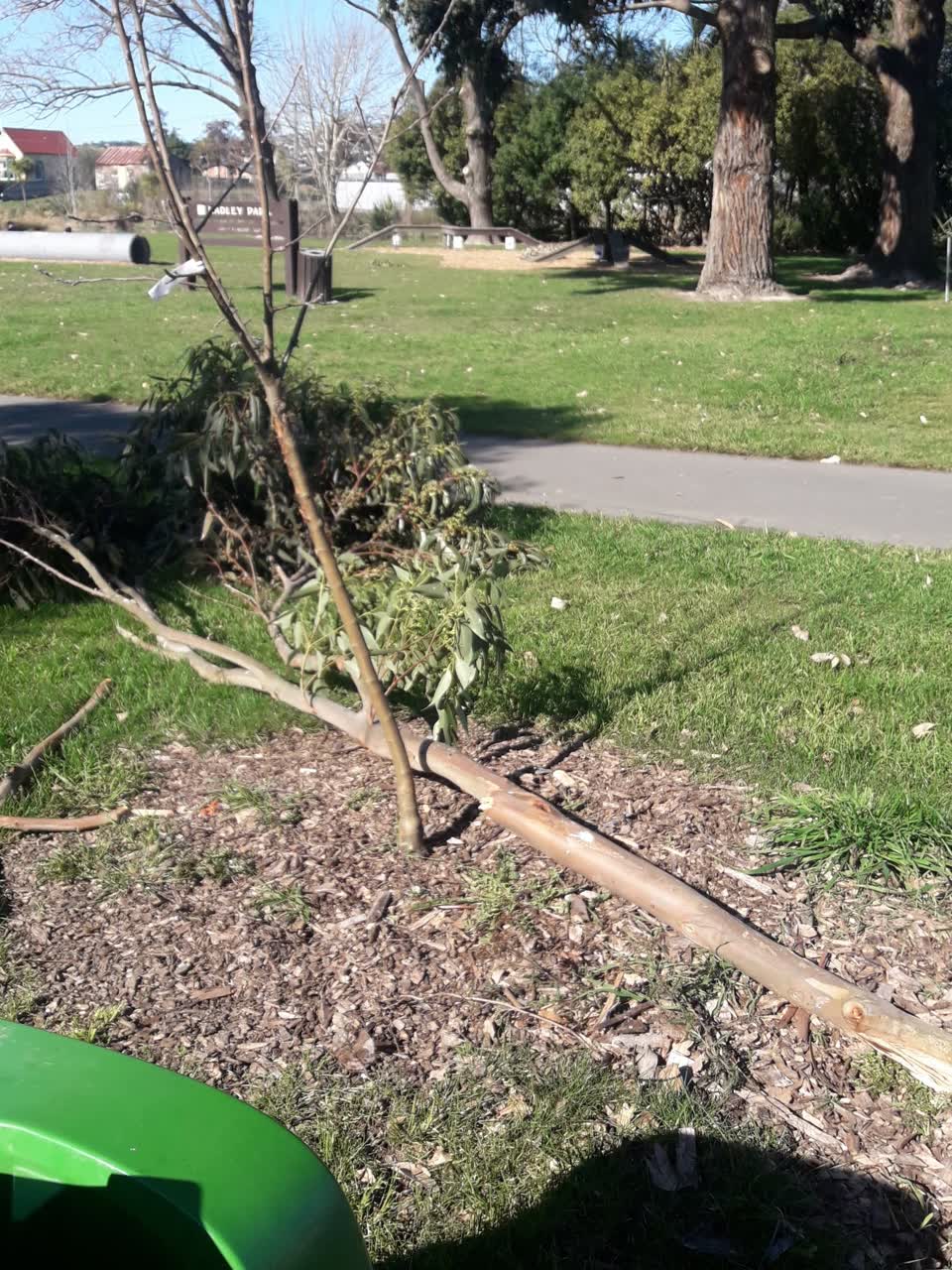 The photograph attached to this parks report