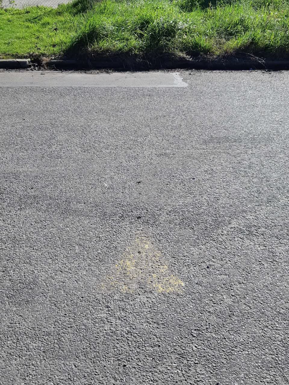 The photograph attached to this water supply report