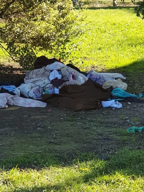 Parks, a report photo