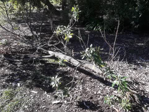 Parks, a report photo