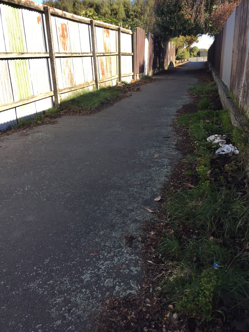 The photograph attached to this parks report