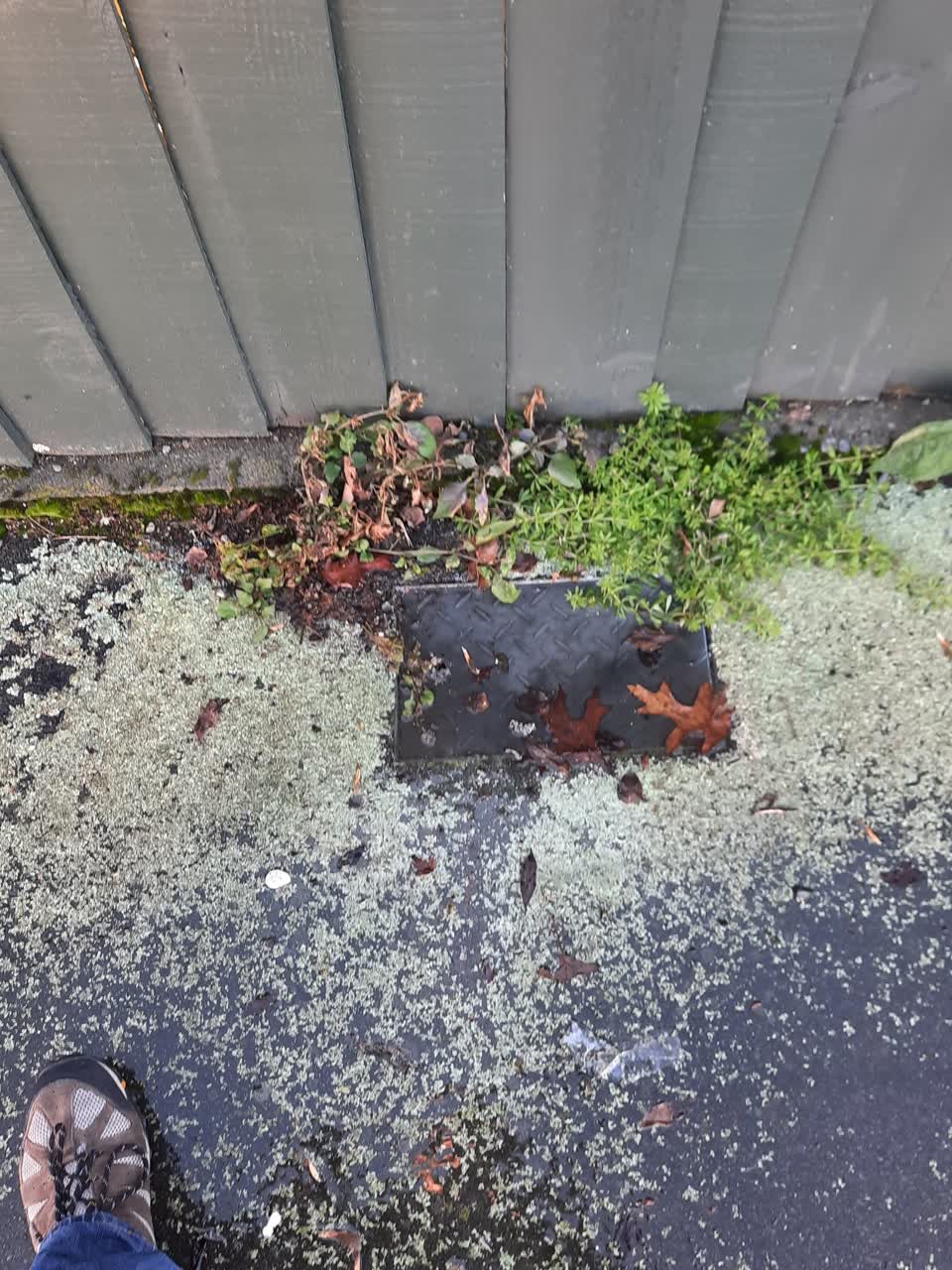 The photograph attached to this water supply report