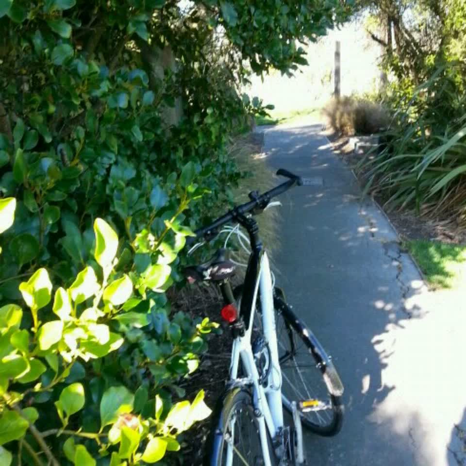 The photograph attached to this parks report