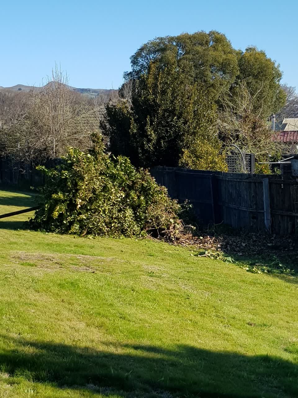 The photograph attached to this parks report