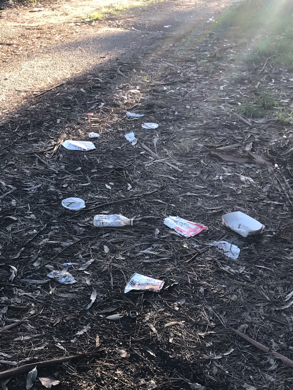 The photograph attached to this rubbish/recycling report