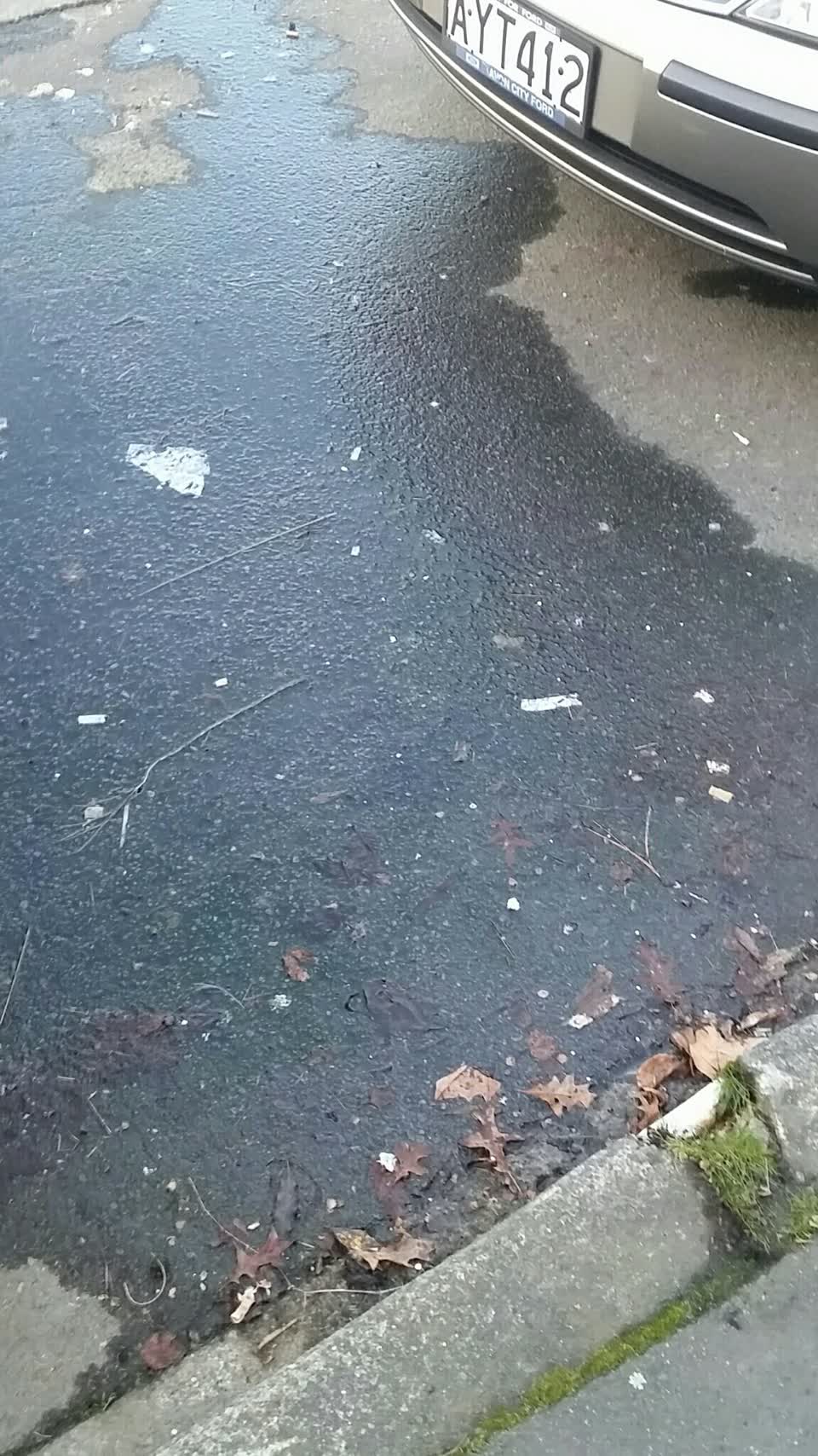 The photograph attached to this water supply report
