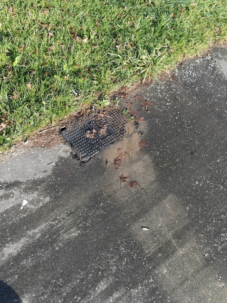 The photograph attached to this water supply report