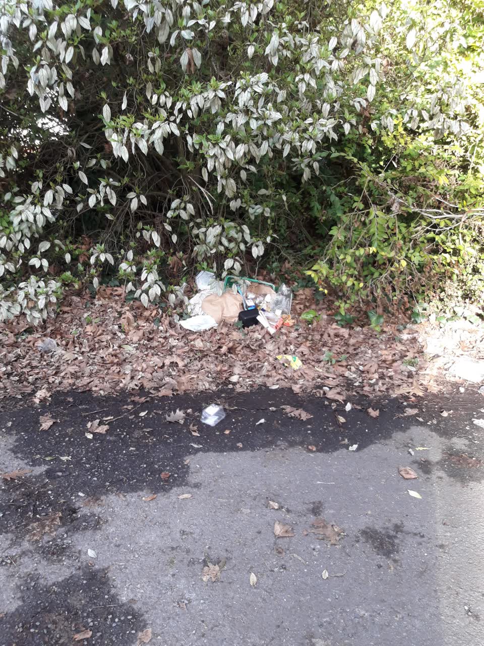 The photograph attached to this rubbish/recycling report