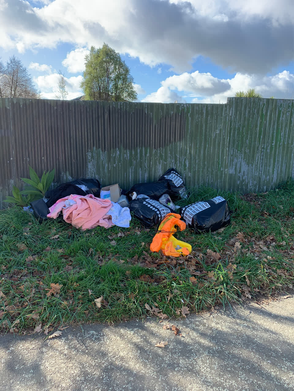 The photograph attached to this rubbish/recycling report