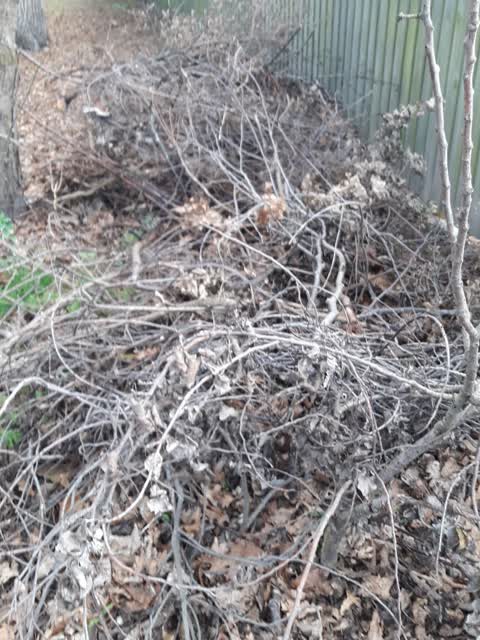 Parks, a report photo