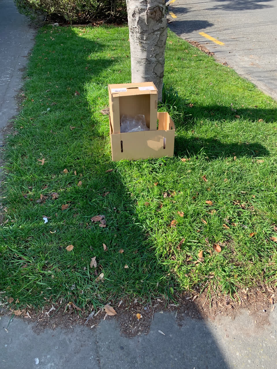 The photograph attached to this rubbish/recycling report