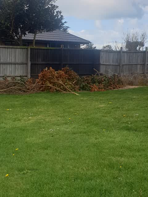 Rubbish/Recycling, a report photo