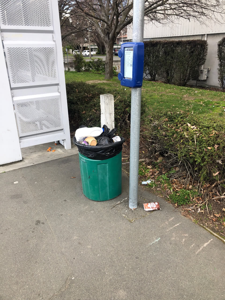 The photograph attached to this rubbish/recycling report