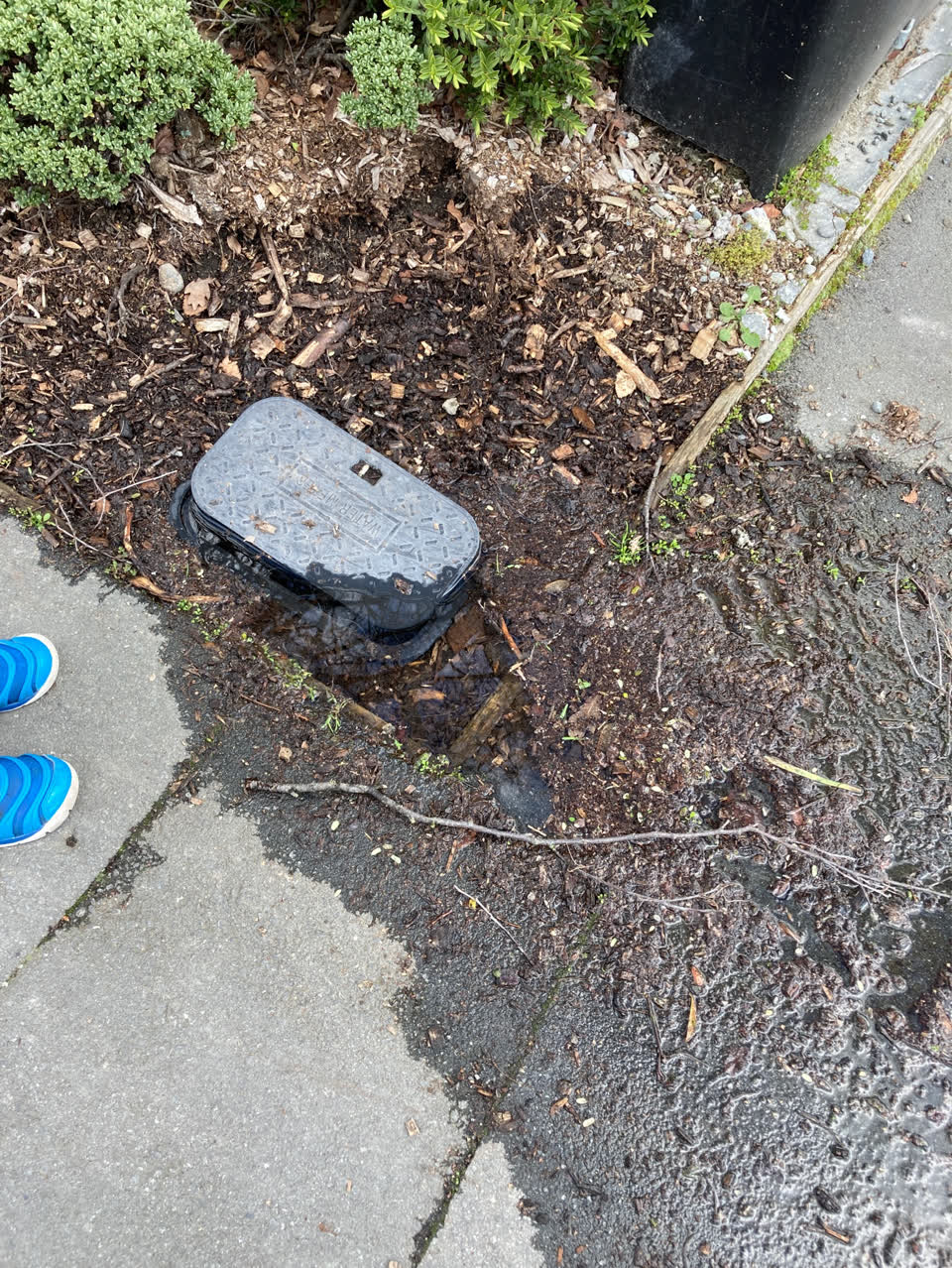 The photograph attached to this water supply report