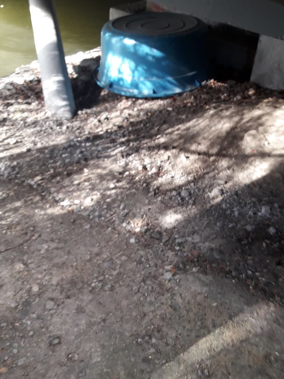 The photograph attached to this parks report